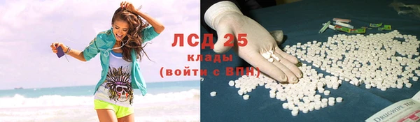 твердый Богданович