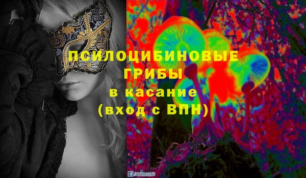 гидра Тихвин