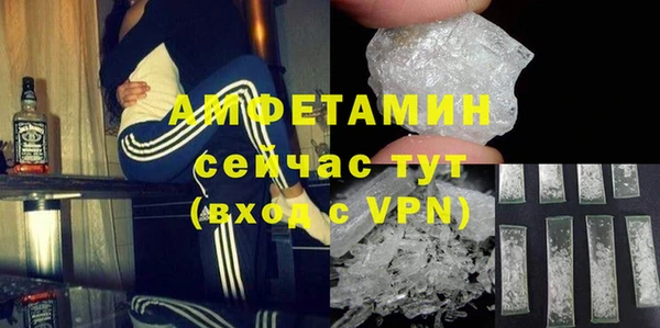 твердый Богданович