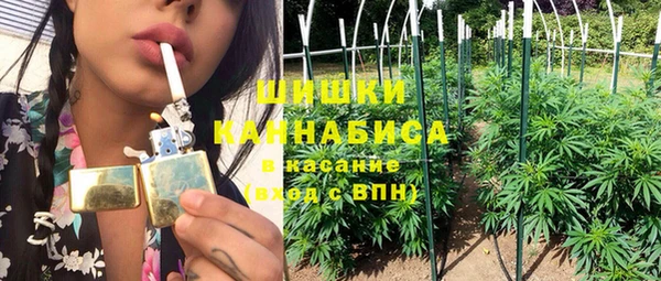 твердый Богданович