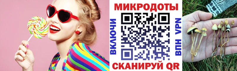 Галлюциногенные грибы Psilocybine cubensis  mega вход  это официальный сайт  Северск 